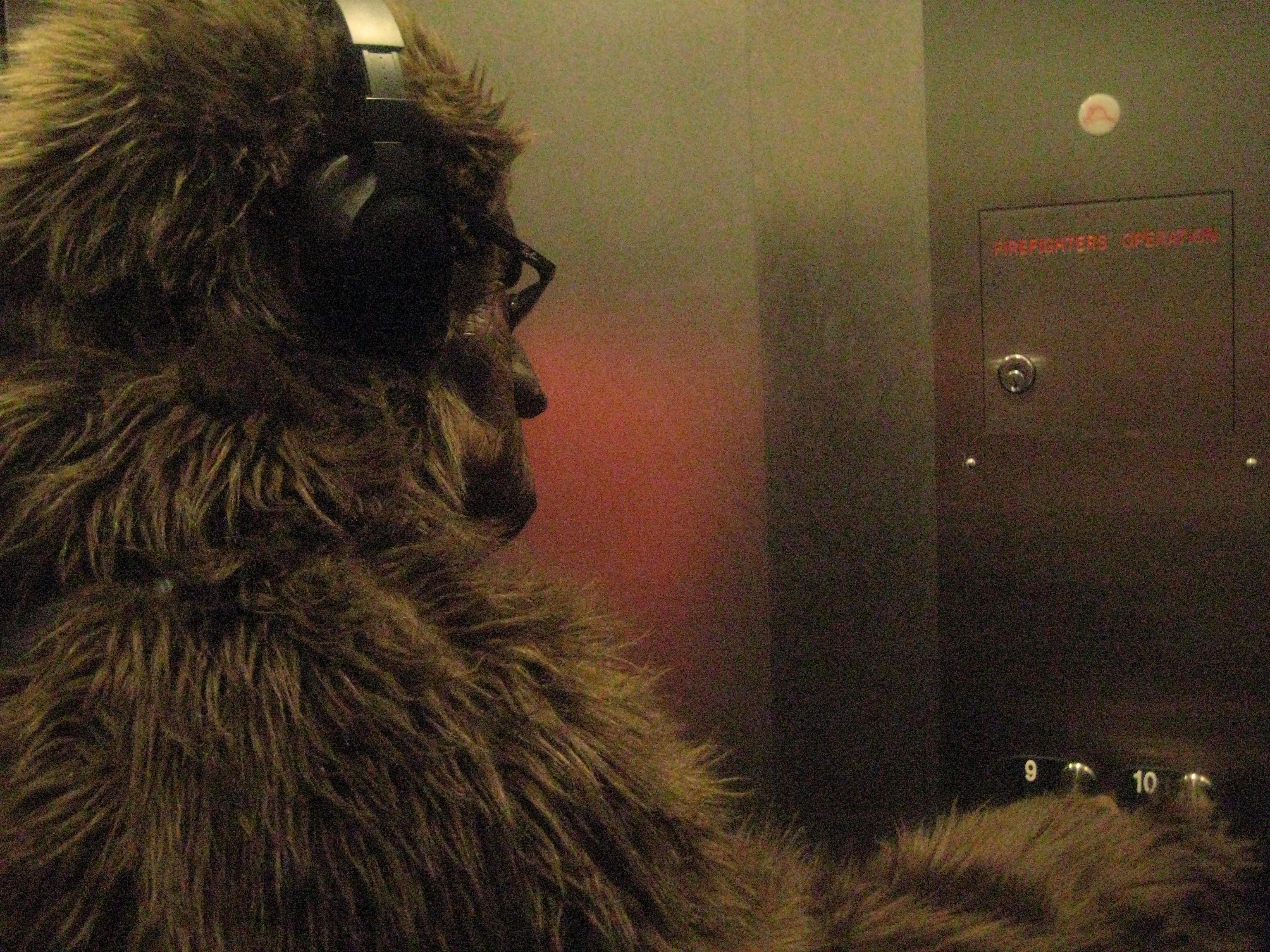 bigfoot