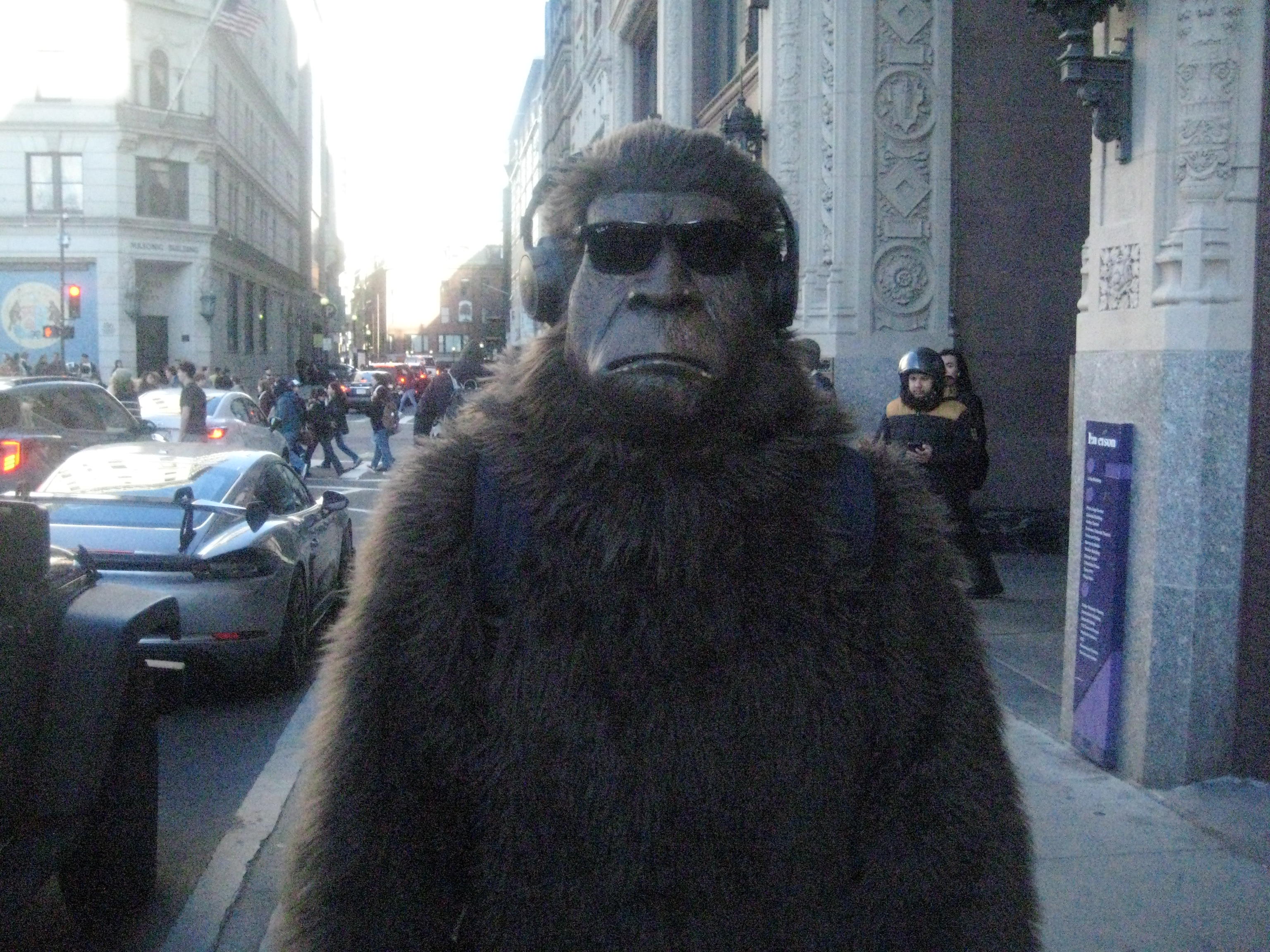 bigfoot